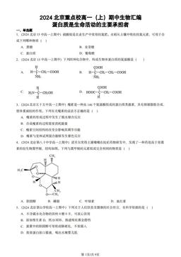2024北京重点校高一（上）期中生物汇编：蛋白质是生命活动的主要承担者-答案