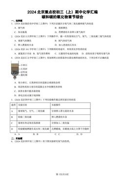 2024北京重点校初三（上）期中化学汇编：碳和碳的氧化物章节综合-答案