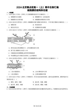 2024北京重点校高一（上）期中生物汇编：细胞膜的结构和功能-答案