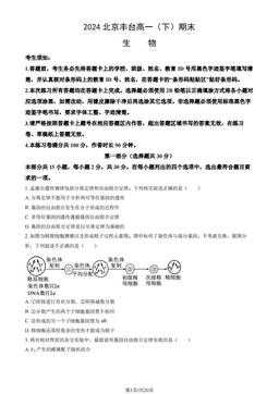 2024北京丰台高一（下）期末生物（教师版）-答案