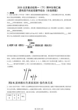 2025北京重点校高一（下）期中生物汇编：遗传因子的发现章节综合（非选择题）-答案