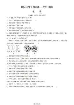 2024北京十四中高一（下）期中生物（教师版）-答案