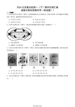 2024北京重点校高一（下）期中生物汇编：减数分裂和受精作用（单选题）1-答案