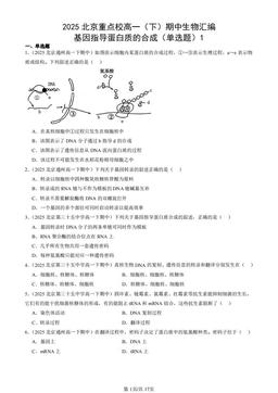 2025北京重点校高一（下）期中生物汇编：基因指导蛋白质的合成（单选题）1-答案
