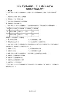 2023北京重点校初一（上）期末生物汇编：细胞怎样构成生物体-答案