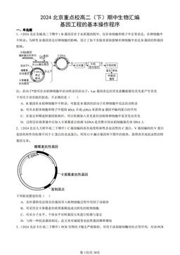 2024北京重点校高二（下）期中生物汇编：基因工程的基本操作程序-答案