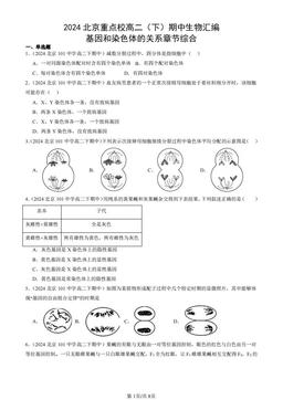 2024北京重点校高二（下）期中生物汇编：基因和染色体的关系章节综合-答案