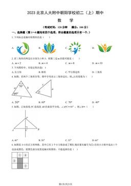 2023北京人大附中朝阳学校初二（上）期中数学（教师版）-答案