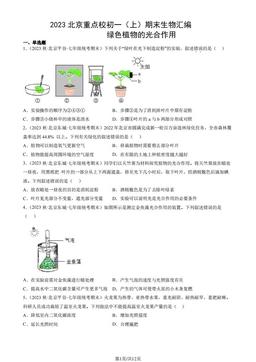 2023北京重点校初一（上）期末生物汇编：绿色植物的光合作用-答案