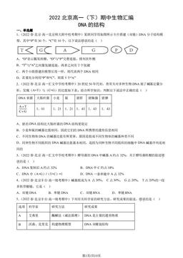 2022北京高一（下）期中生物汇编：DNA的结构-答案