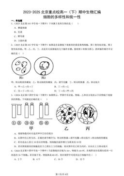 2023-2025北京重点校高一（下）期中生物汇编：细胞的多样性和统一性-答案