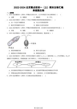 2022-2024北京重点校初一（上）期末生物汇编：单细胞生物-答案