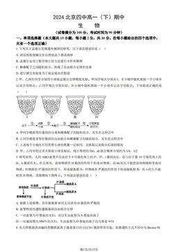 2024北京四中高一（下）期中生物（教师版）-答案