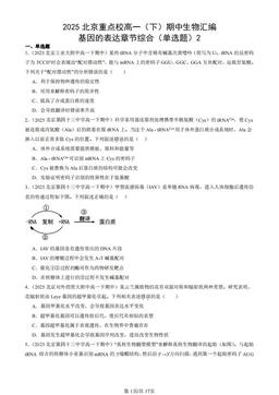 2025北京重点校高一（下）期中生物汇编：基因的表达章节综合（单选题）2-答案