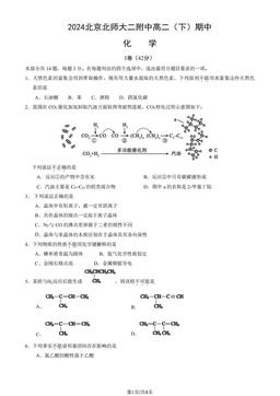 2024北京北师大二附中高二（下）期中化学（教师版）-答案