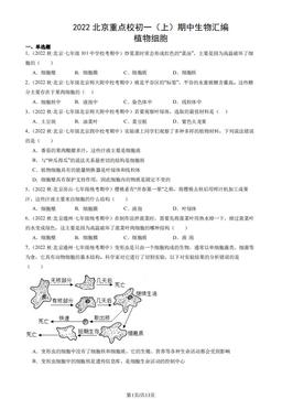 2022北京重点校初一（上）期中生物汇编：植物细胞-答案