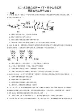2023北京重点校高一（下）期中生物汇编：基因的表达章节综合2-答案