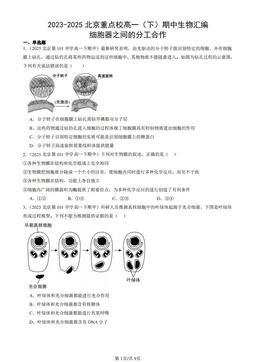 2023-2025北京重点校高一（下）期中生物汇编：细胞器之间的分工合作-答案