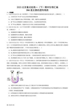 2023北京重点校高一（下）期中生物汇编：DNA是主要的遗传物质-答案