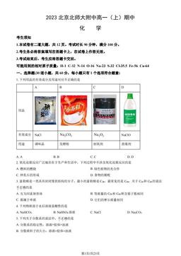 2023北京北师大附中高一（上）期中化学（教师版）-答案