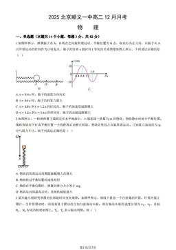 2025北京顺义一中高二12月月考物理-试题