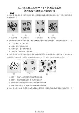 2023北京重点校高一（下）期末生物汇编：基因和染色体的关系章节综合-答案