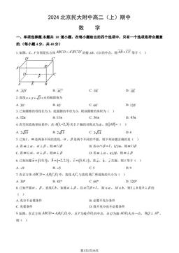 2024北京民大附中高二（上）期中数学（教师版）-答案