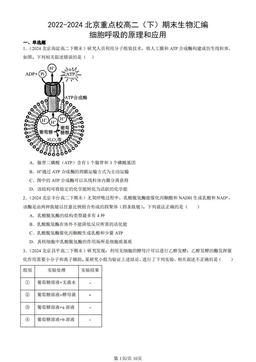 2022-2024北京重点校高二（下）期末生物汇编：细胞呼吸的原理和应用-答案