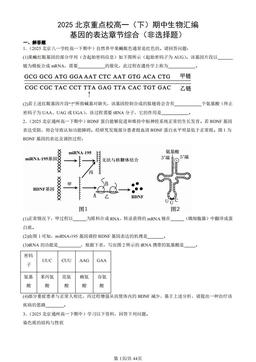 2025北京重点校高一（下）期中生物汇编：基因的表达章节综合（非选择题）-答案