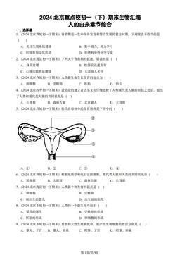 2024北京重点校初一（下）期末生物汇编：人的由来章节综合-答案