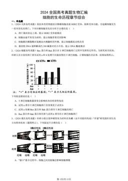 2024全国高考真题生物汇编：细胞的生命历程章节综合-答案