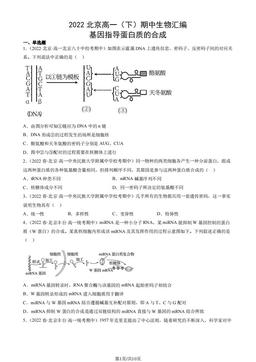 2022北京高一（下）期中生物汇编：基因指导蛋白质的合成-答案