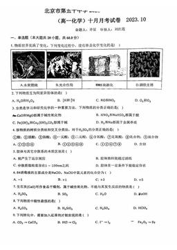 2023北京五十中高一10月月考化学（教师版）-答案