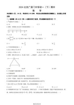 2024北京广渠门中学初一（下）期中数学（教师版）-答案