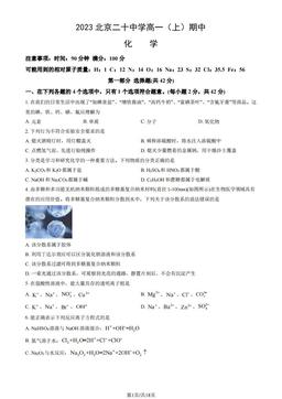 2023北京二十中学高一（上）期中化学（教师版）-答案