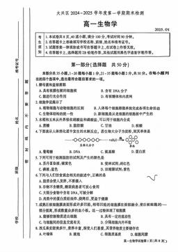 2025北京大兴高一（上）期末生物-试题