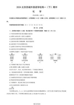 2024北京西城外国语学校高一（下）期中化学（教师版）-答案