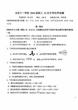 2025北京十一学校高三12月月考化学（教师版）-答案