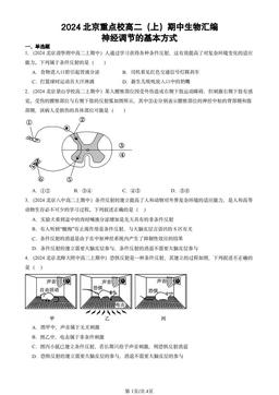 2024北京重点校高二（上）期中生物汇编：神经调节的基本方式-答案