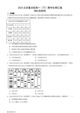 2023北京重点校高一（下）期中生物汇编：DNA的结构-答案