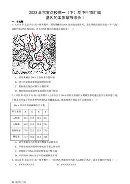 2023北京重点校高一（下）期中生物汇编：基因的本质章节综合1-答案