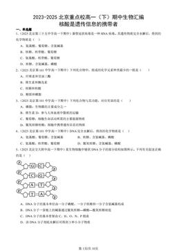 2023-2025北京重点校高一（下）期中生物汇编：核酸是遗传信息的携带者-答案
