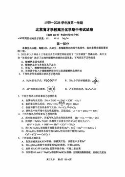 2025北京育才学校高三（上）期中化学-答案