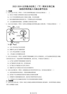 2022-2024北京重点校高二（下）期末生物汇编：细胞的物质输入与输出章节综合-答案