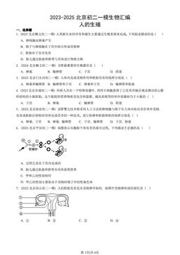 2023-2025北京初二一模生物汇编：人的生殖-答案