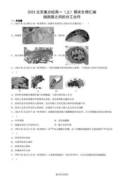 2023北京重点校高一（上）期末生物汇编：细胞器之间的分工合作-答案