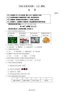 2025北京大兴高一（上）期末化学（教师版）-答案