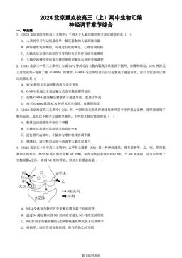 2024北京重点校高三（上）期中生物汇编：神经调节章节综合-答案
