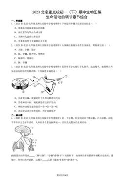 2023北京重点校初一（下）期中生物汇编：生命活动的调节章节综合-答案