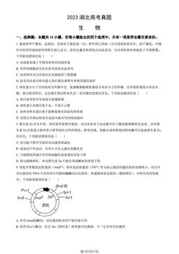 2023湖北高考真题生物（教师版）-答案